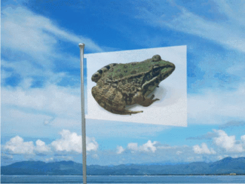 Lucas Frog GIF - Lucas Frog Flag GIFs