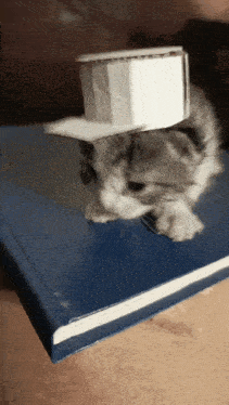 a kitten wearing a top hat is sitting on a blue book