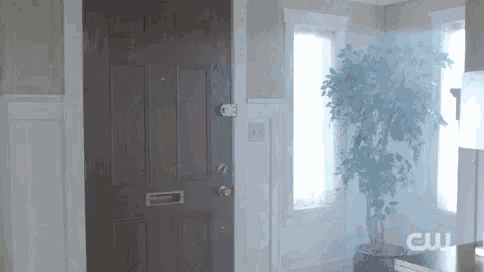 a house with a plant in a pot in front of the door .