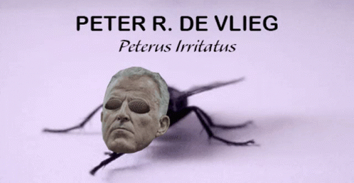 Peter R De Vries Vlieg GIF - Peter R De Vries Vlieg Peterus Irritatus GIFs