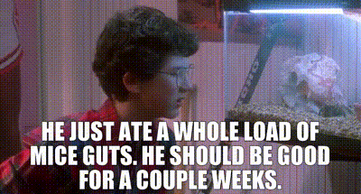 a woman is looking at a rat in a tank and says `` he just ate a whole load of mice guts .