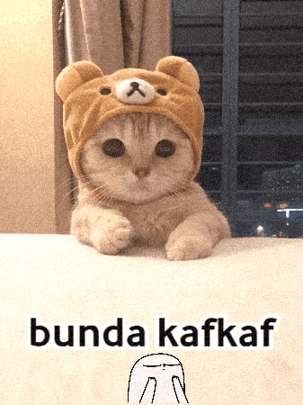 a cat wearing a teddy bear hat with the words bunda kafkaf written below it