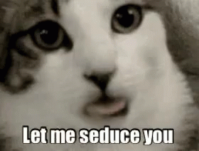 Let Me Seduce You GIF - Flirty Cats Seduce GIFs