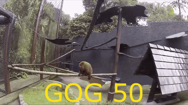 Gog Gog50 GIF - Gog Gog50 Gog Meme GIFs