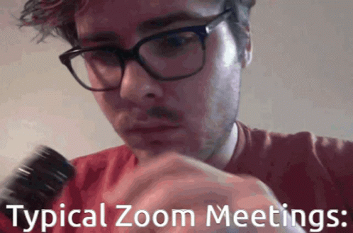 Zoom Meetings Work GIF - Zoom Meetings Work Zoom GIFs