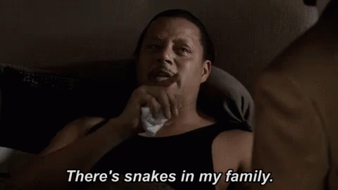 Snakes GIF - Theres Snakes In My Family Terrence Howard Lucious Lyon GIFs