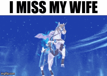 a man is riding on the back of a white horse with the words i miss my wife above him