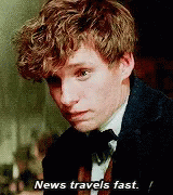 Fantastic Beasts Fantastic Beasts And Where To Find Them GIF - Fantastic Beasts Fantastic Beasts And Where To Find Them News Travels Fast GIFs