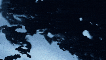 a bunch of fish are swimming in the ocean