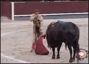 Toreador GIF - Matador Bull Bull Fighting GIFs