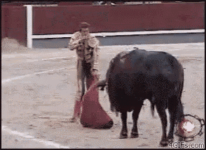 a bull is being slaughtered by a matador in a rodeo