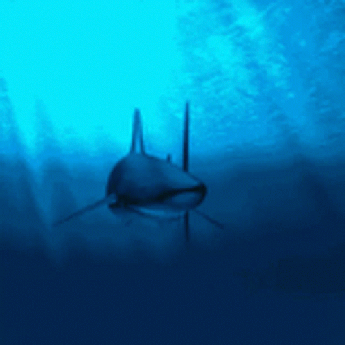 Ajkula Shark GIF - Ajkula Shark Fish GIFs