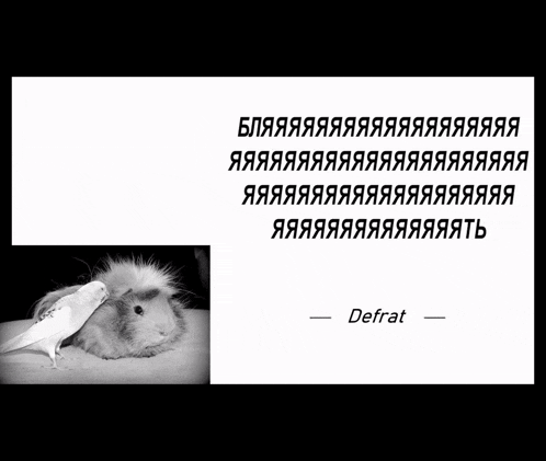 a black and white photo of a hamster next to a bunch of russian words