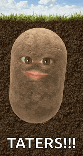 a picture of a potato with a face and the words taters written below it
