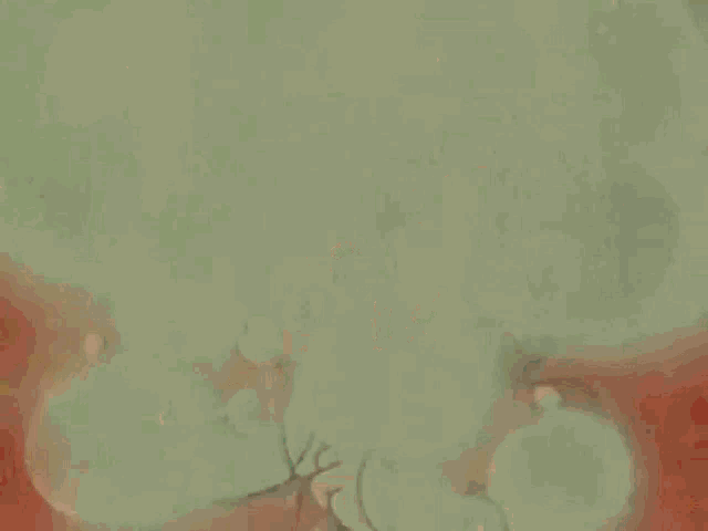 a close up of a cartoon character 's face with a very angry expression .