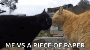 a black cat and an orange cat are standing next to each other looking at each other .