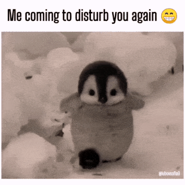 a black and white photo of a baby penguin in the snow with the caption " me coming to disturb you again "