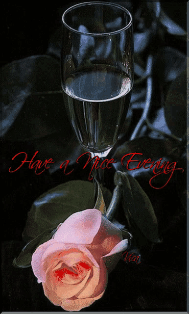 a card that says have a nice evening with a glass of wine and a pink rose