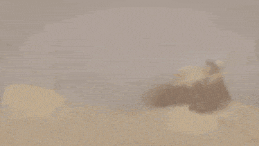 a man and a woman wearing futuristic masks are standing next to each other in a desert .