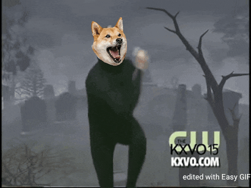 a picture of a man with a dog 's head and the words kxvo15 kxvo.com edited with easy gif