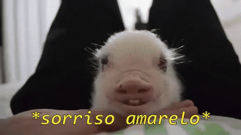 Porcos Sorrisofalso Envergonhado GIF - Pigs Fake Smile Embarassed GIFs