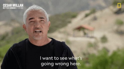 I Want To See Whats Going Wrong Here Cesar Millan GIF - I Want To See Whats Going Wrong Here Cesar Millan Cesar Millan Better Human Better Dog GIFs