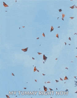 a flock of butterflies are flying in the sky with the words `` my tummy right now '' written on the bottom .
