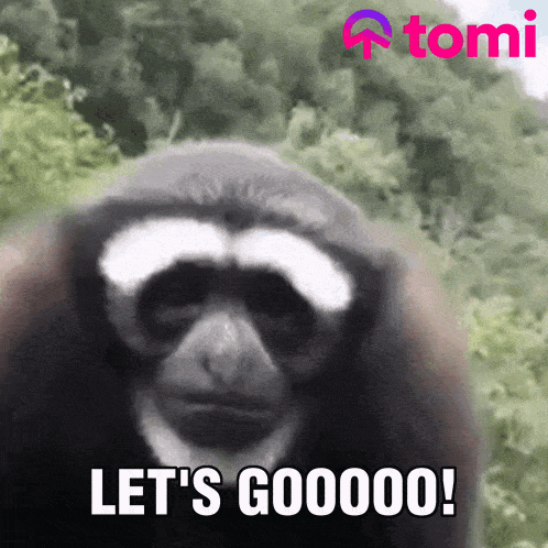 Tomi Let'S Go GIF - Tomi Let'S Go Go GIFs