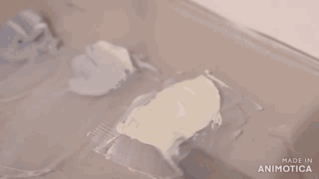 a person is painting a bird with a brush and the words made in animotica are visible