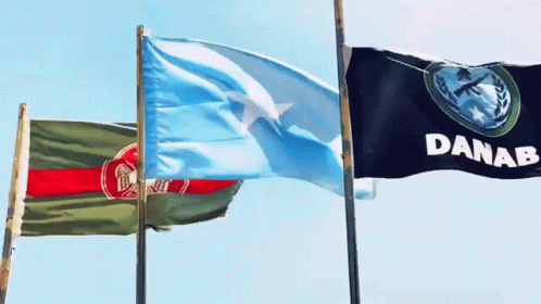Somalia Danab GIF - Somalia Somali Danab GIFs