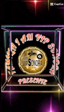 a picture of a coin that says i am vip sonora presents