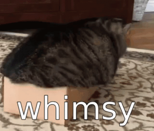 Whimsyy Aaja GIF - Whimsyy Aaja Angry Cat GIFs