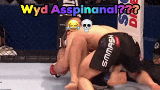 two men are wrestling in a ring with the words wyd asspinanal written on the top
