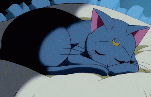 Sailor Cat Sleeping GIF - Sailor Cat Sleeping Asleep GIFs