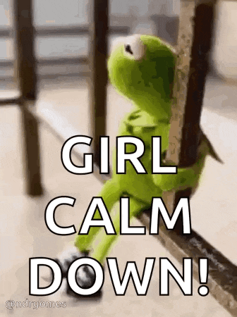kermit the frog is sitting on a railing holding a railing and says `` girl calm down '' .