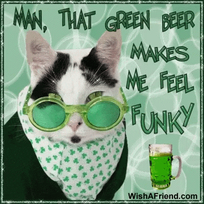 a black and white cat wearing green glasses and a bandana .