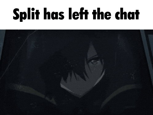 a picture of a person with the words split has left the chat above them
