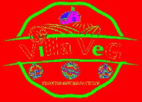 a green and orange logo for villa veg produtos caseiros e naturals