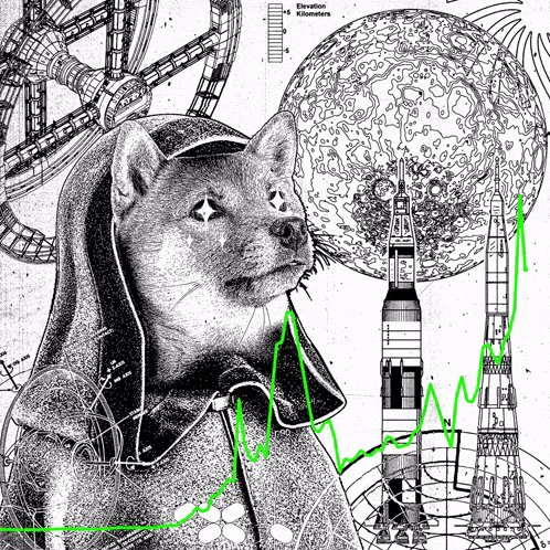 a black and white drawing of a dog with the word elevation on the bottom right