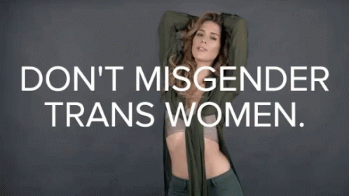 International Womens Day Dont Misgender Trans Women GIF - International Womens Day Dont Misgender Trans Women GIFs