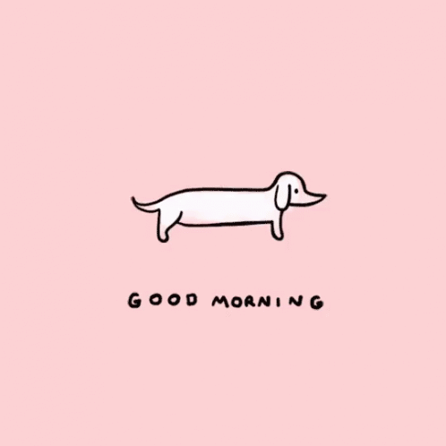 Good Morning Dogs GIF - Good Morning Dogs Goeiemorgen GIFs