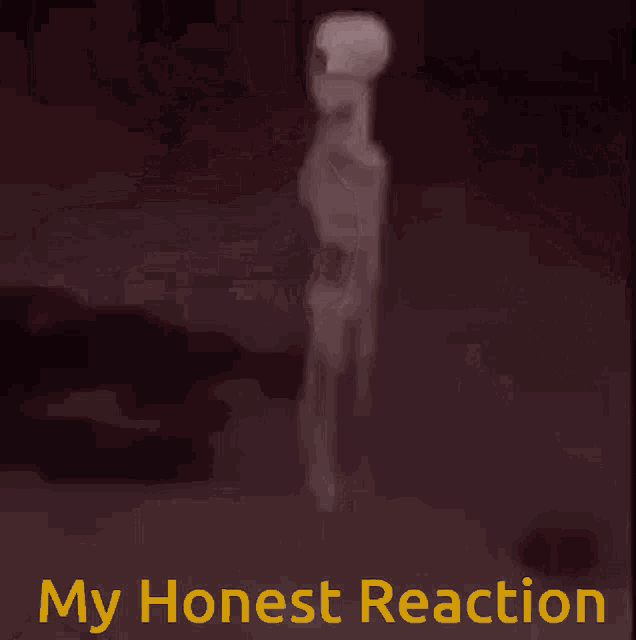 My Honest Reaction Oshae GIF - My Honest Reaction Oshae Shaeman88 GIFs