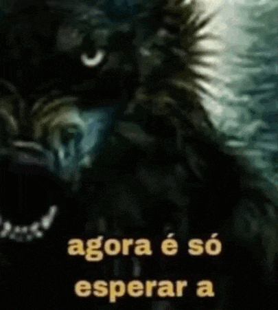 a painting of a wolf with the words `` agora e so esperar a '' written in yellow letters .