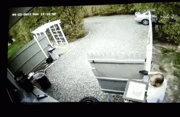 a screen shows a man standing in front of a fence and a car parked behind it