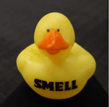 Duck Weird GIF - Duck Weird Smell GIFs