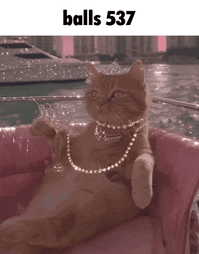a cat wearing a pearl necklace and a tiara is holding a glass of champagne