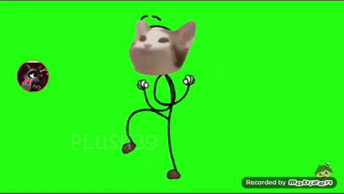 Pop Cat Meme GIF - Pop Cat Meme GIFs