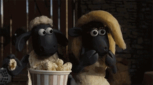 two stuffed sheep are eating popcorn from a bucket .