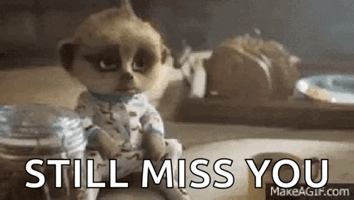 a meerkat is sitting on a table with the words `` still miss you '' written on it .