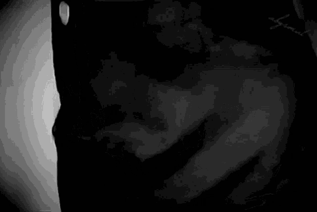 Idinamenzel Shelbycorcoran GIF